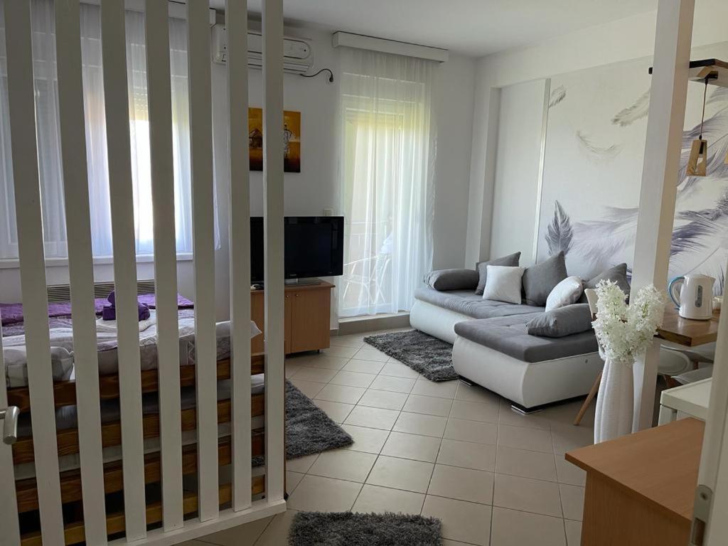 Apartman Lukic Banja Koviljaca Exterior photo