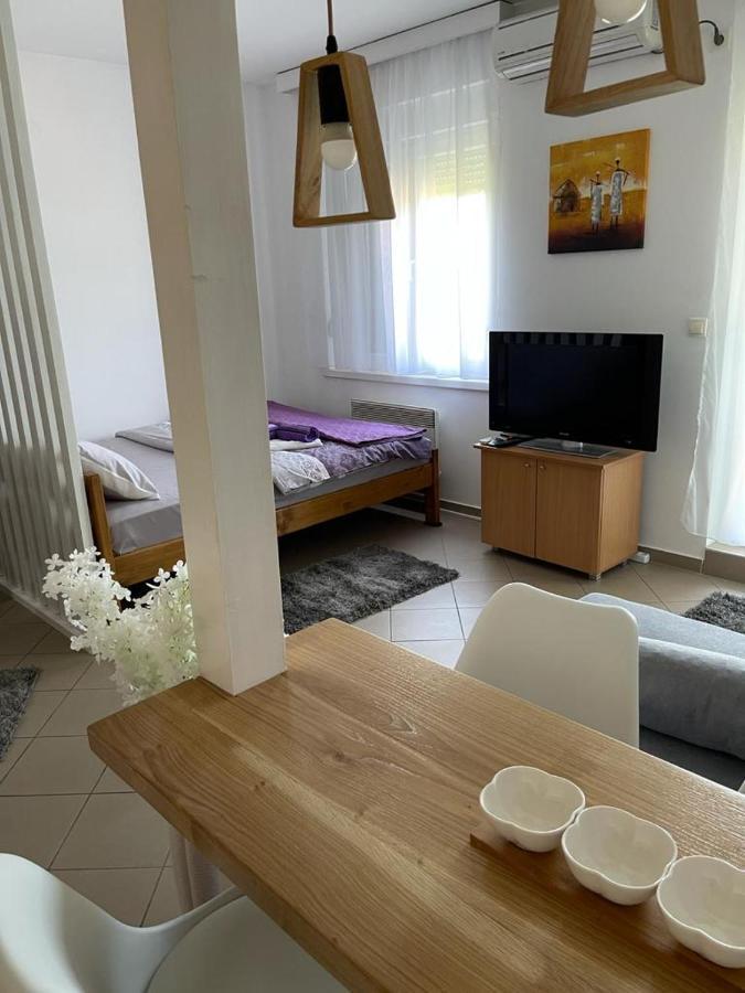 Apartman Lukic Banja Koviljaca Exterior photo