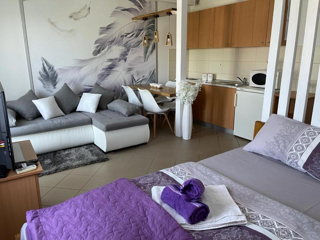 Apartman Lukic Banja Koviljaca Exterior photo