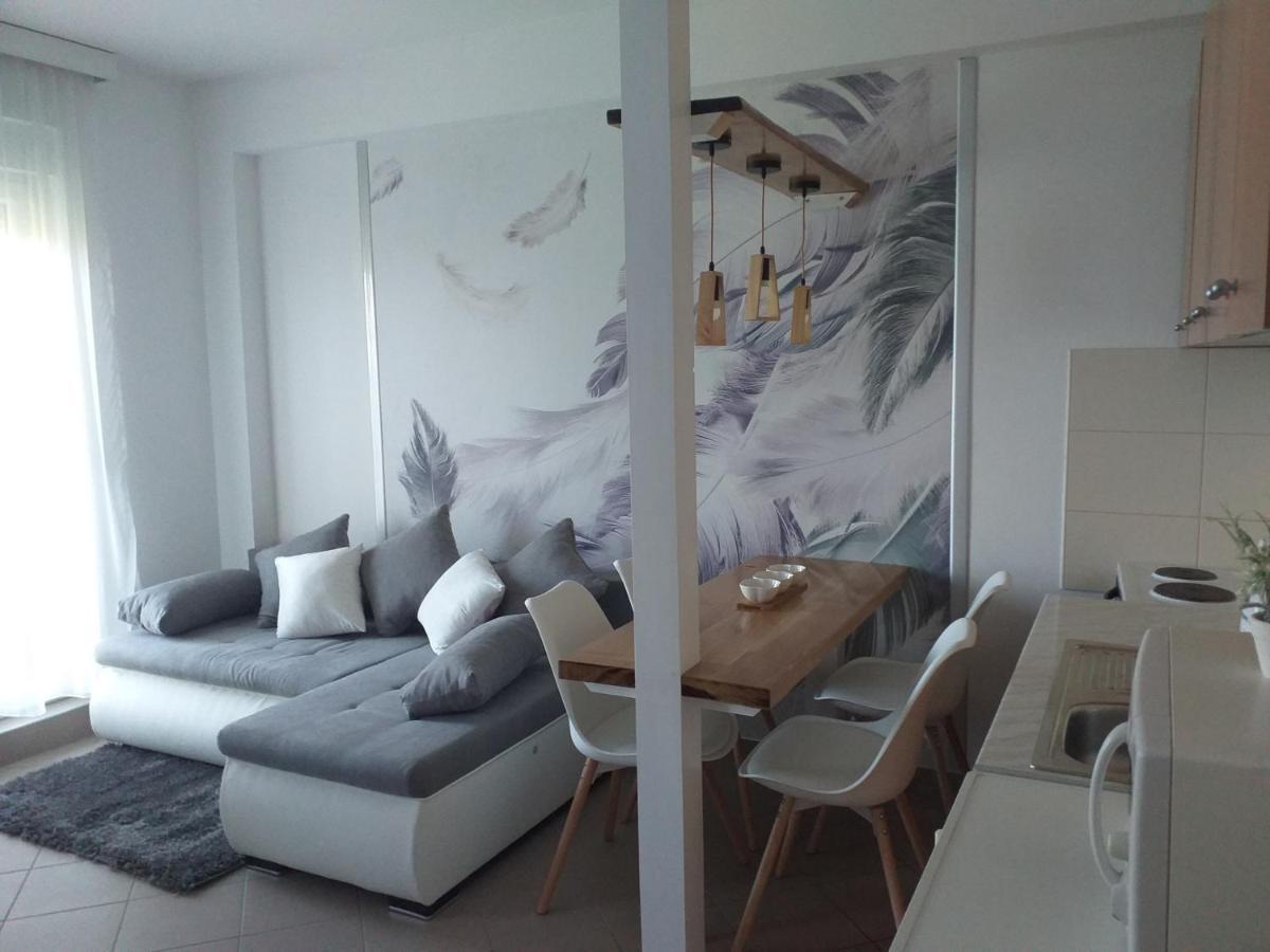 Apartman Lukic Banja Koviljaca Exterior photo