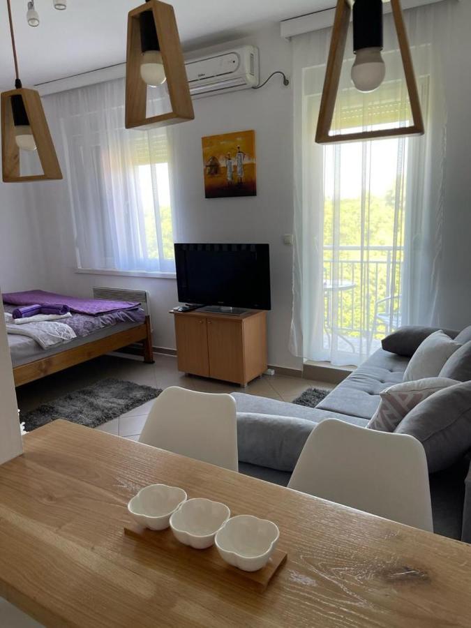 Apartman Lukic Banja Koviljaca Exterior photo
