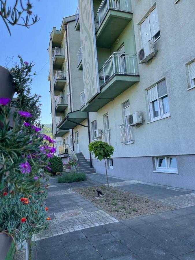Apartman Lukic Banja Koviljaca Exterior photo