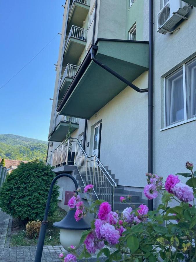 Apartman Lukic Banja Koviljaca Exterior photo